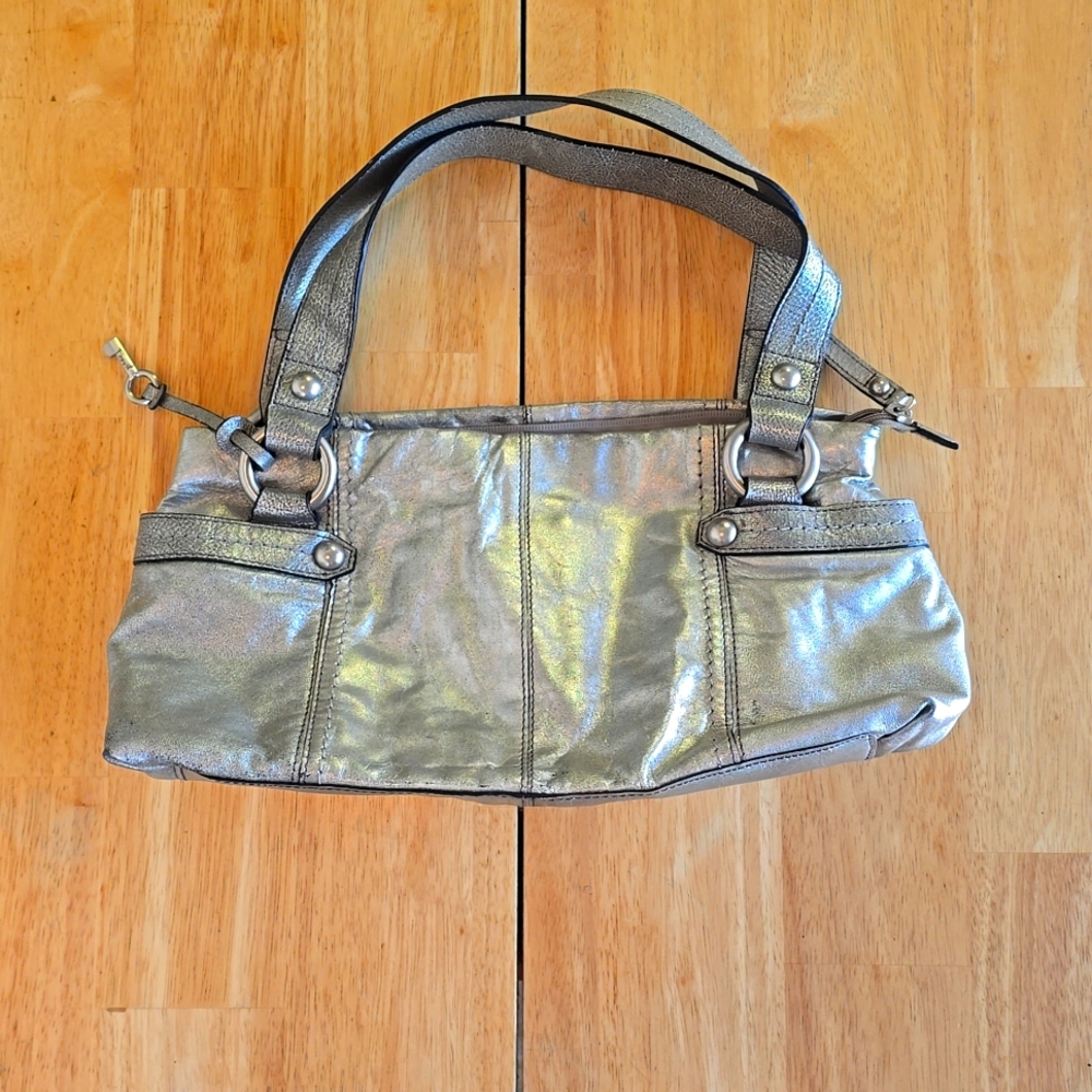 Metallic Fossil Bag